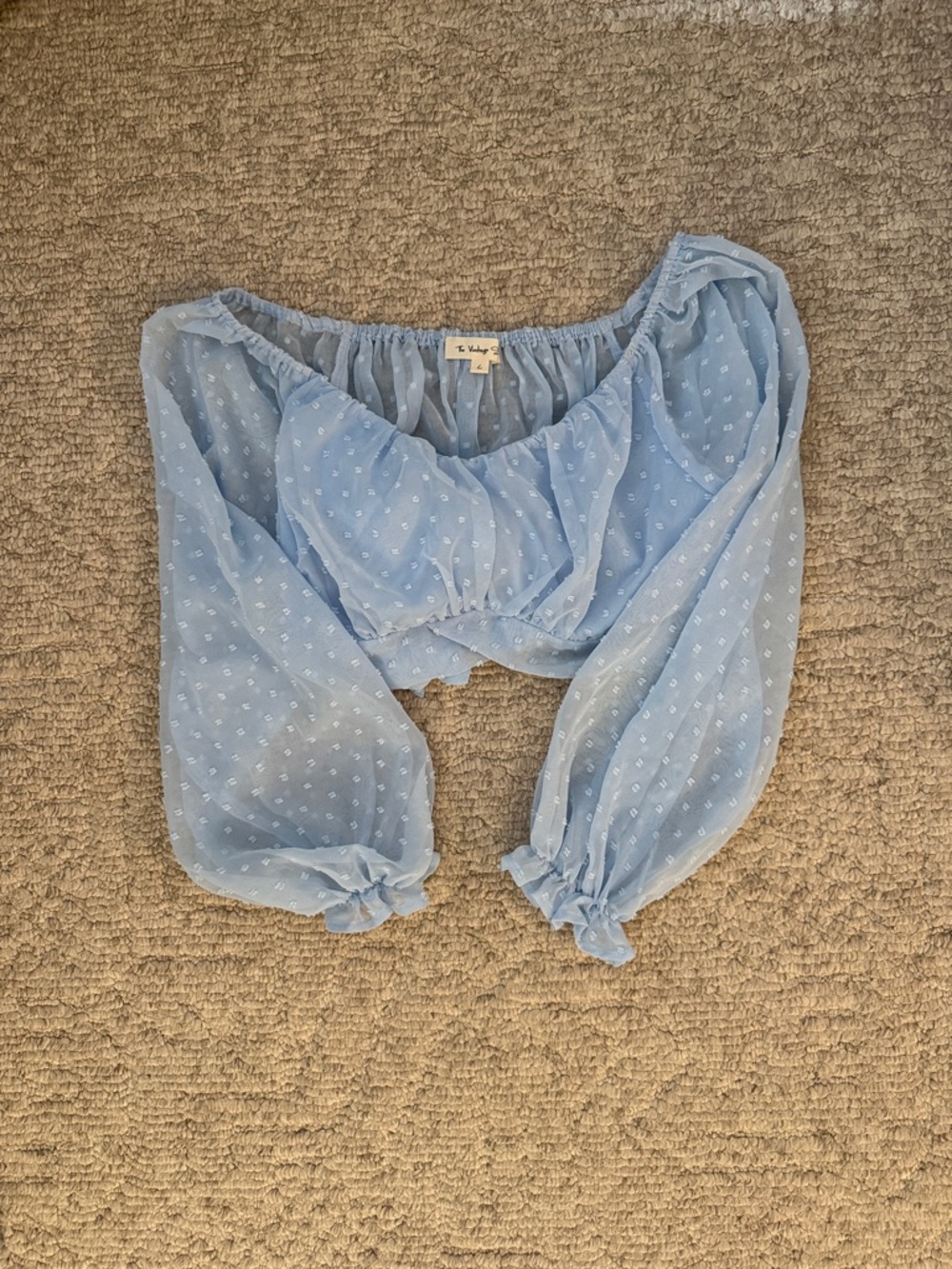 The Vintage Shop Pale Blue Swiss Dot Sheer Top